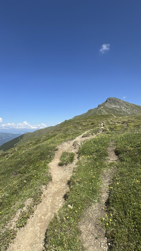 Bergwanderweg zwischen Piz Scalottas und Piz Danis