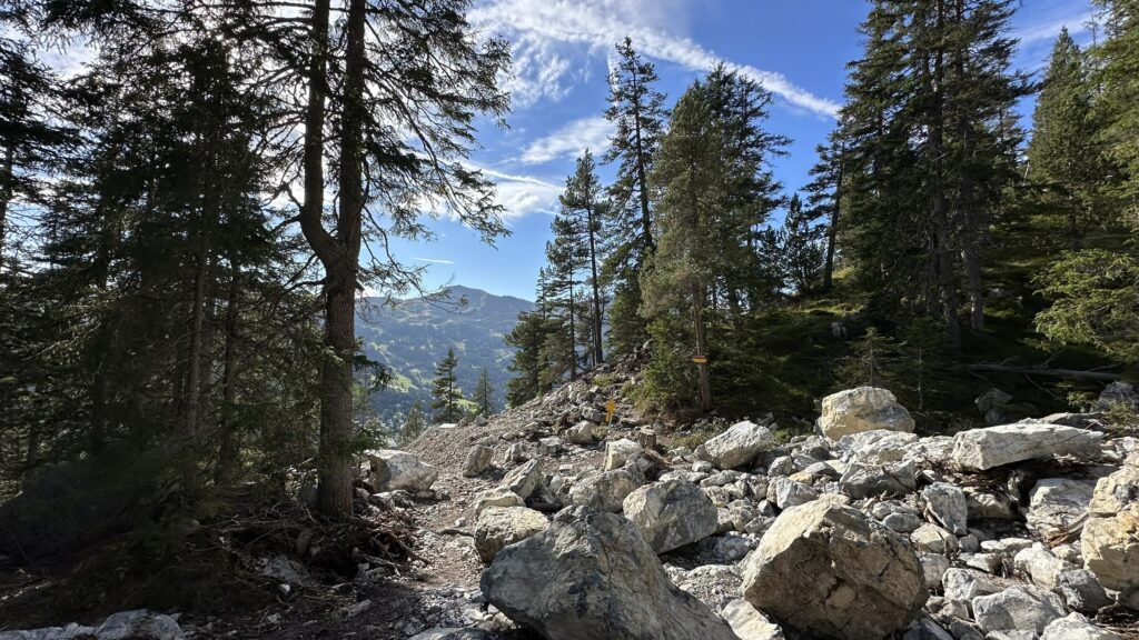 Wanderweg von Lenzerheide Richtung Alp Sanaspans